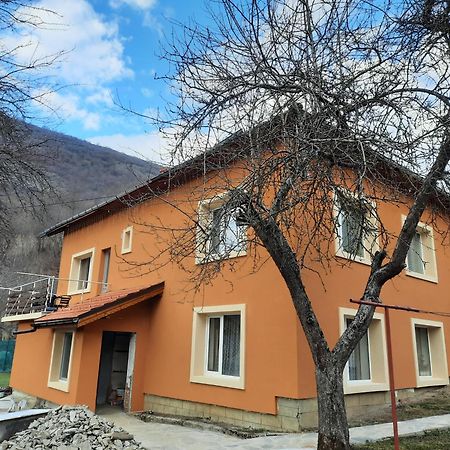 Guest House Lazar Raykov Ribarica Exteriér fotografie