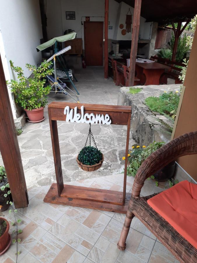 Guest House Lazar Raykov Ribarica Exteriér fotografie