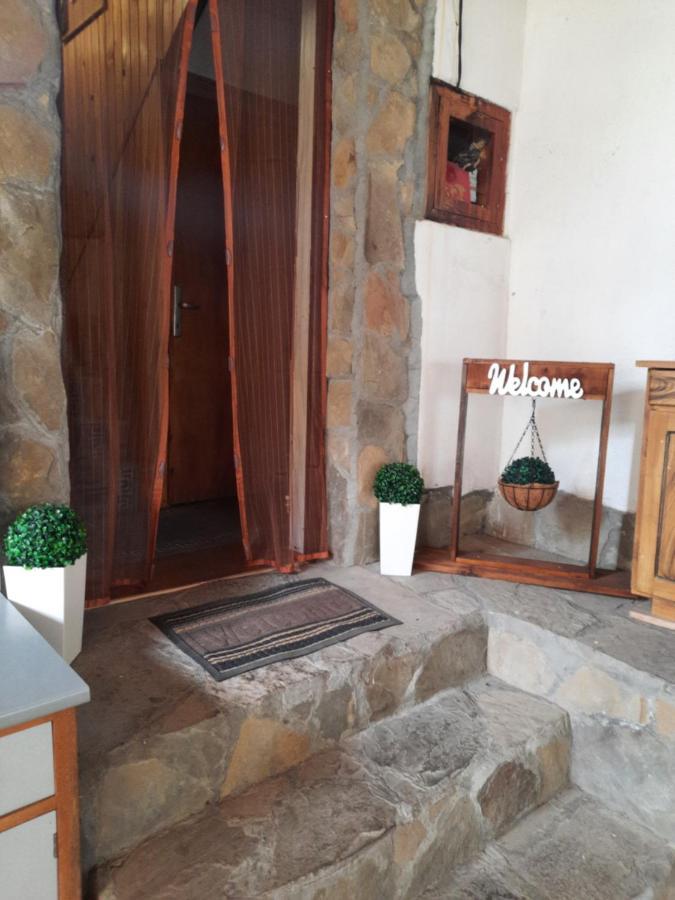 Guest House Lazar Raykov Ribarica Exteriér fotografie