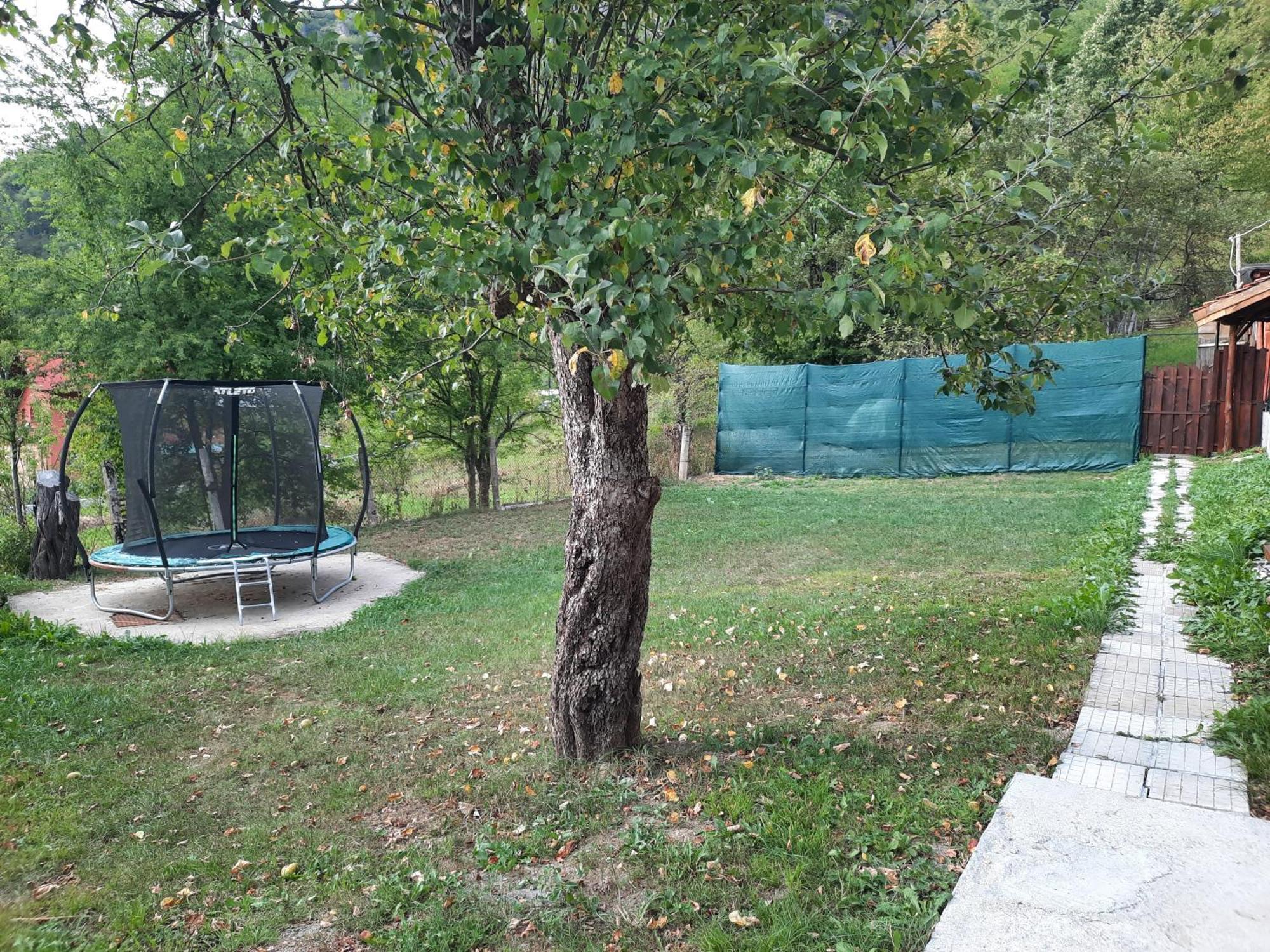 Guest House Lazar Raykov Ribarica Exteriér fotografie